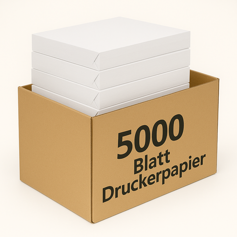 Easyprint Premium Druckerpapier & Kopierpapier – A4, 80g/m² – 5000 Blatt (10x500 Blatt) – CIE 160, PEFC-zertifiziert